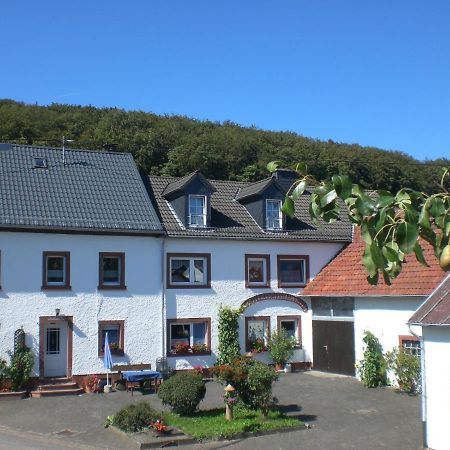 Ferienhof An Der Lay Kerpen  Exterior photo