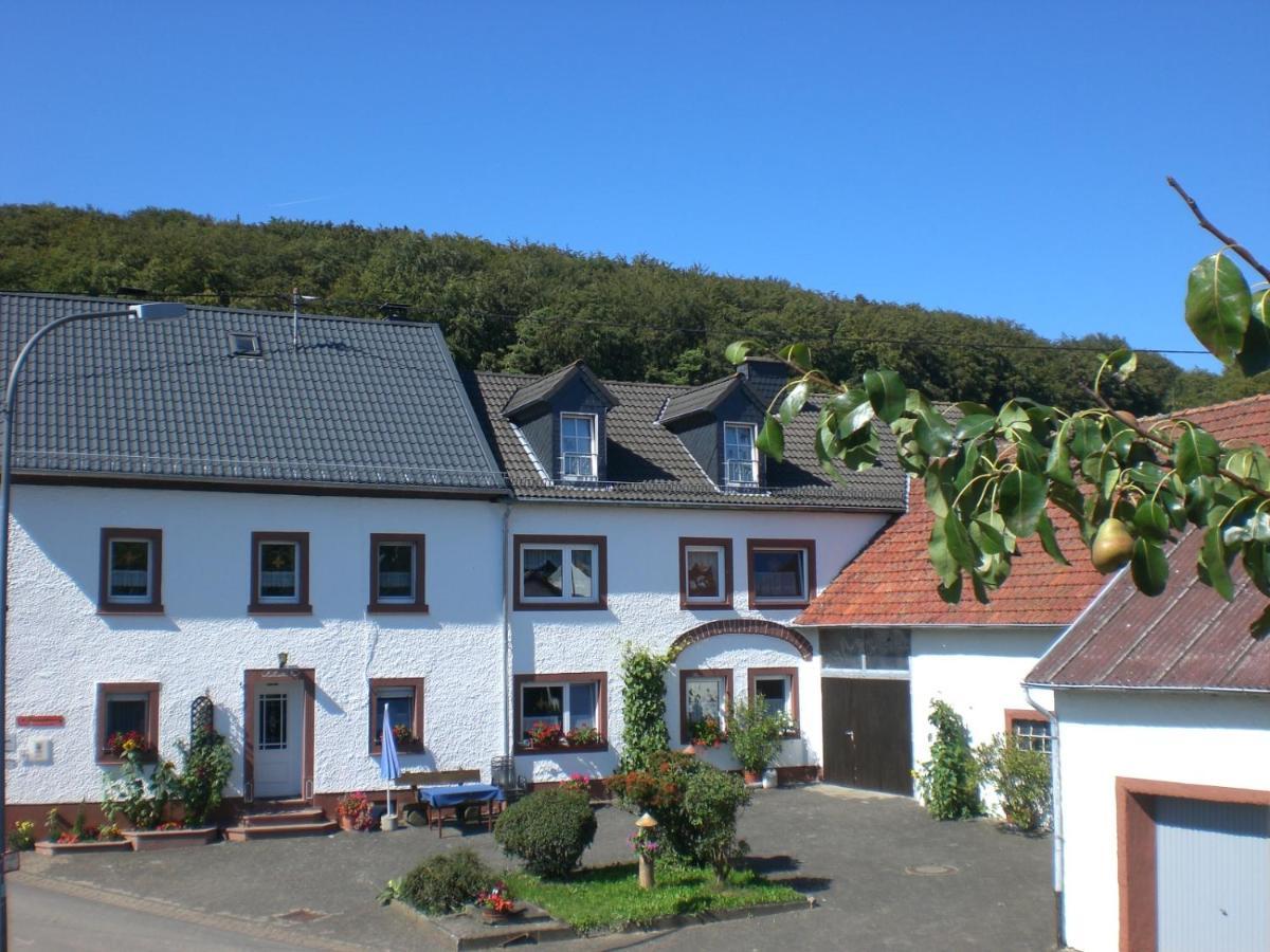 Ferienhof An Der Lay Kerpen  Exterior photo
